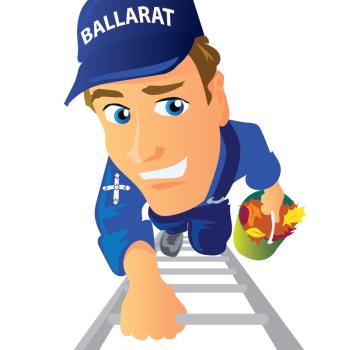 Gutter Cleaning Ballarat