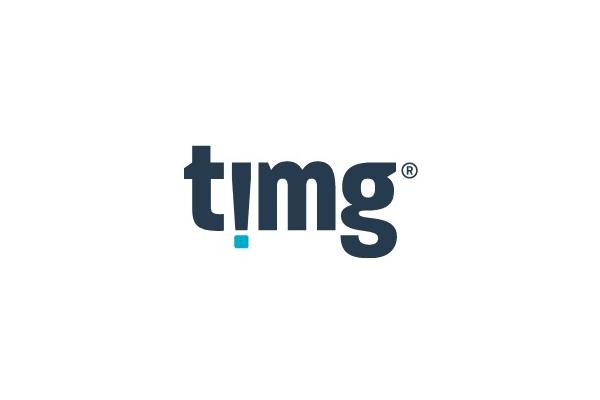 TIMG Data Storage Solutions Logo