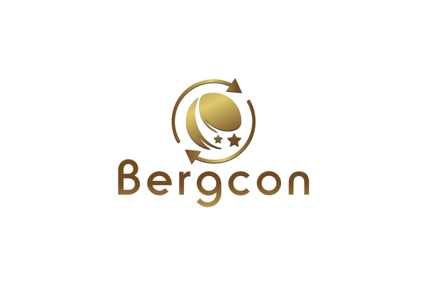 Bergcon Business Analysis